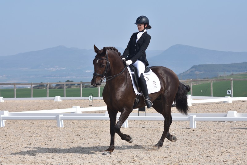 Resultados 3ª Fase del Campeonato Navarro de Doma Clásica, Doma Adaptada y Juegos Deportivos de Navarra 18/19